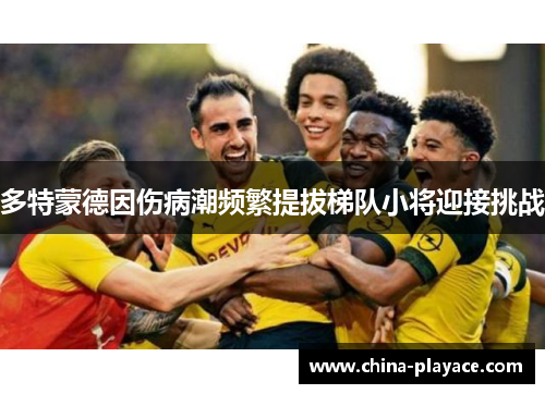 多特蒙德因伤病潮频繁提拔梯队小将迎接挑战 多特蒙德因伤病潮频繁提拔梯队小将迎接挑战